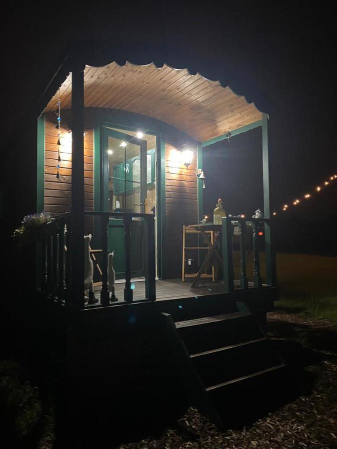 Pia B&B Babbita Hasselt Exterior foto